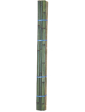 青建仁寺割竹1束（巾約4.5cm/1枚×20枚入）